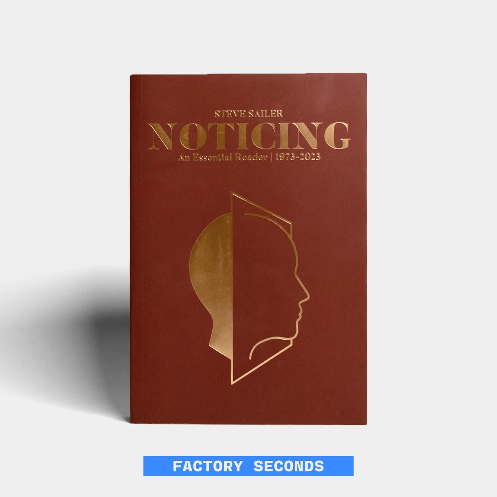Noticing: An Essential Reader by Steve Sailer (Factory Seconds)