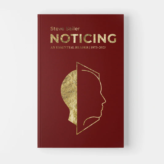 Noticing: An Essential Reader by Steve Sailer (Paperback Edition)