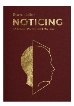 Noticing: An Essential Reader by Steve Sailer (Paperback Edition)